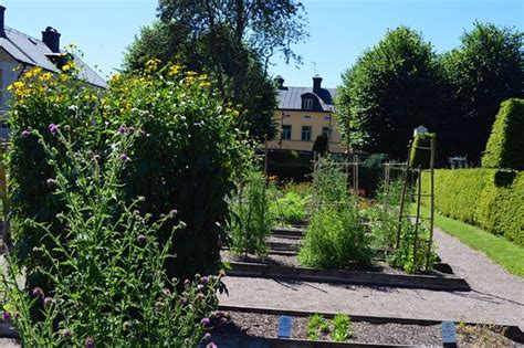 Linnaeus Garden (Uppsala) - 2019 All You Need to Know BEFORE You Go ...