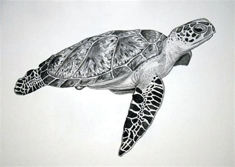 3D Turtle Drawing Tutorial