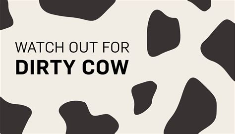 The Dangers of the Dirty Cow Vulnerability: Should You Be Worried?