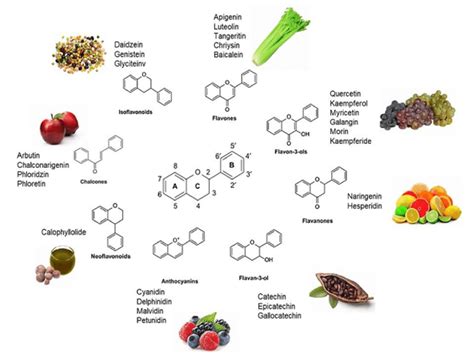 Dietary sources of flavonoids. | Download Scientific Diagram