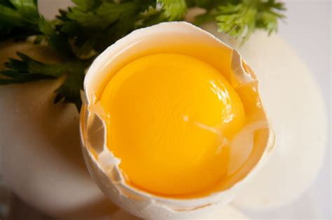 Free photo "Raw Egg Yolk"