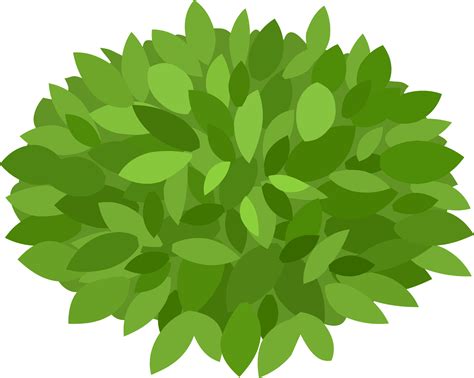 Shrub Clipart Grass - Clip Art Bushes PNG Image | Transparent PNG ...