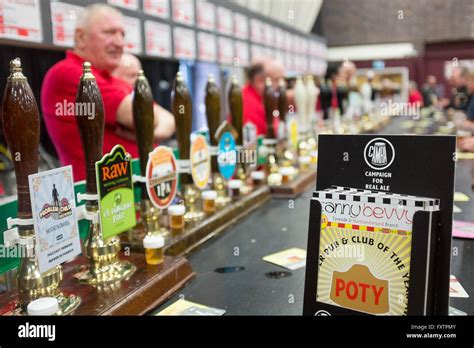 A CAMRA beer festival Stock Photo - Alamy