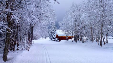 Snowy Road Winter Landscape Wallpapers - Wallpaper Cave