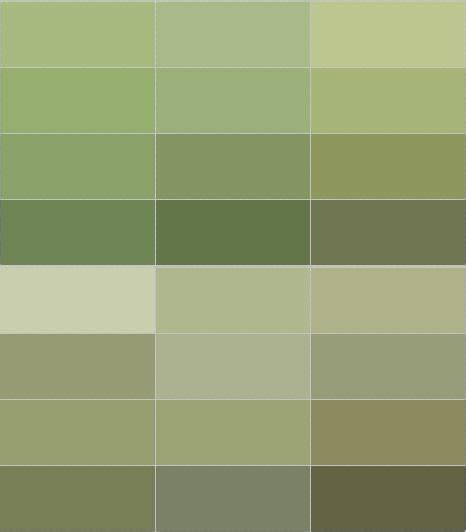 olive green wall color | Green wall color, Olive green walls, Green ...