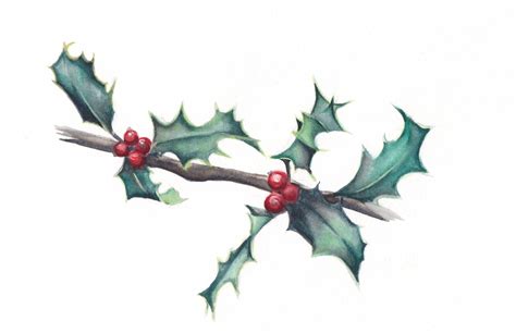 7 Holly Leaves Original Watercolor | Esther BeLer Wodrich