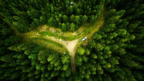 drone, Landscape, Nature, Aerial view, Forest Wallpapers HD / Desktop ...