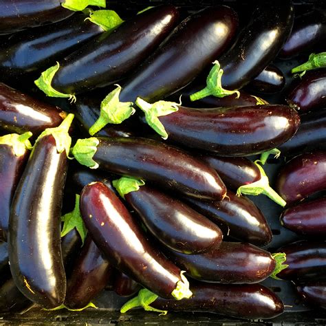 Outdoor & Gardening US seeds non gmo heirloom organic Diamond Eggplant ...