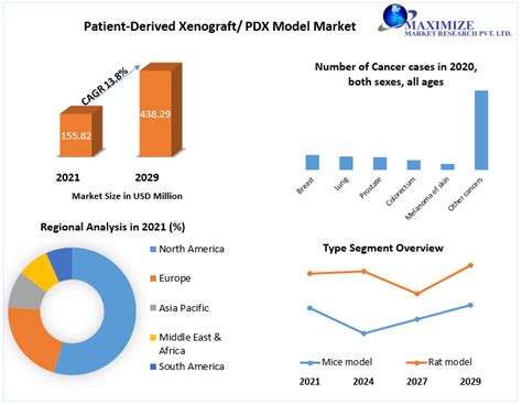 PDX Model Market:Global Overview and Forecast (2022-2029)