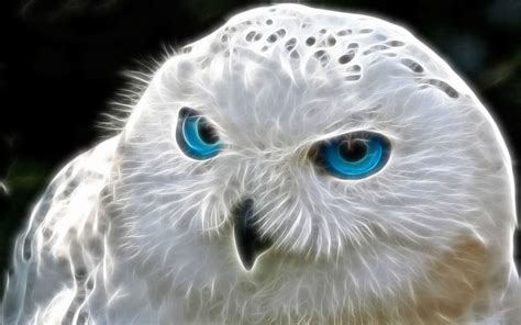 Snowy Owl by SweetWitchy