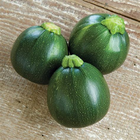 10 Tasty Zucchini Varieties for Your Vegetable Garden - Fine Gardening