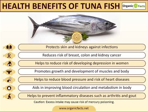 13 Amazing Benefits of Tuna Fish | Organic Facts