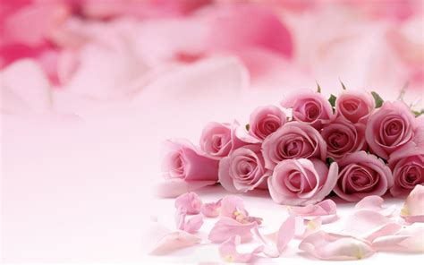 Pink Roses Backgrounds - Wallpaper Cave