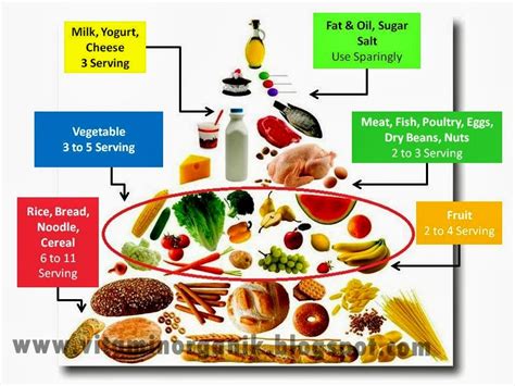 Pemakanan Sihat Ibu Mengandung - vitaminorganik.com