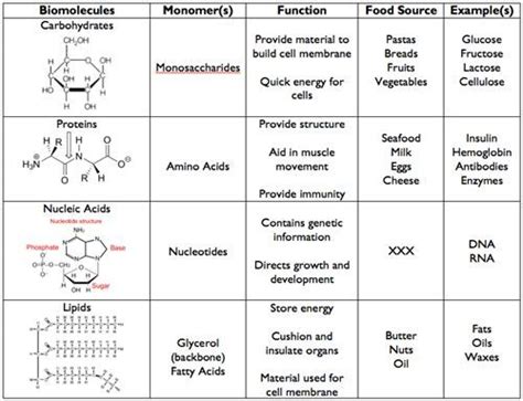 Carbohydrates Definition