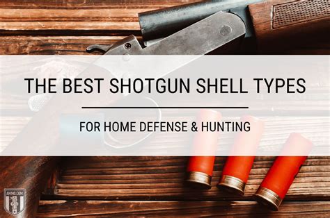 Best Shotgun Shells for Home Defense & Hunting Chosen by Ammo.com