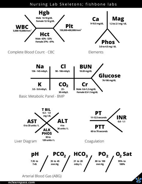 Laboratory Fishbone Diagram