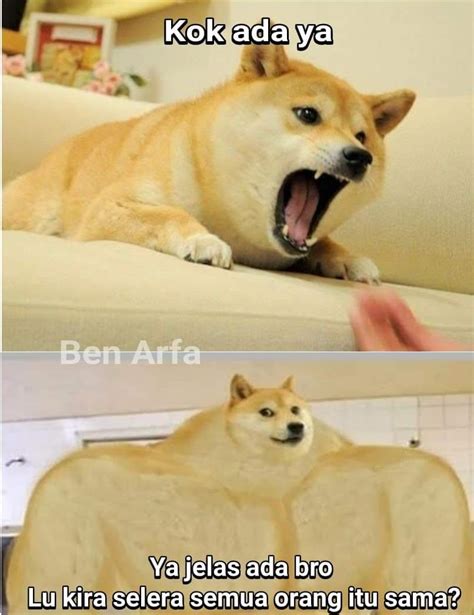 28 Meme Anjing Shiba Inu Indonesia