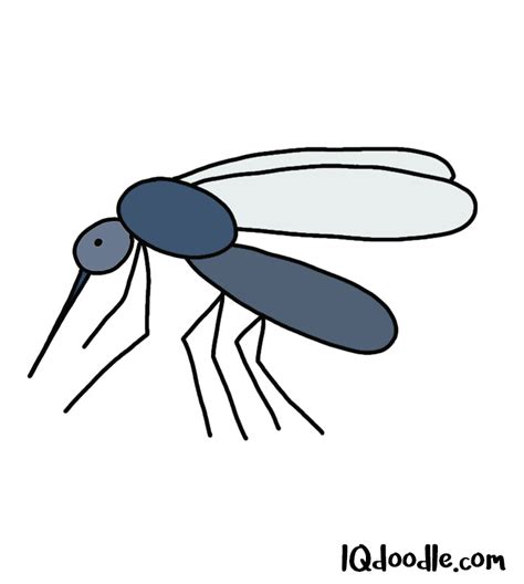 How to Doodle a Mosquito - IQ Doodle School