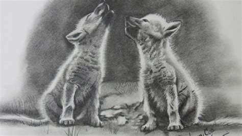 Realistic Wolf Puppy Drawing