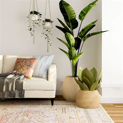 Fake Plants For Living Room | Baci Living Room