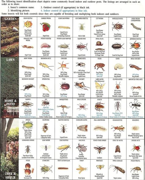 Insect Identification Chart | Garden Pests, Insect Identification ...