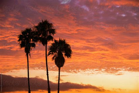 "Palm Trees With Dramatic Sunset Sky, Los Angeles Beach" by Stocksy ...