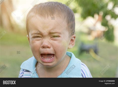 Crying Little Boy. Cry Image & Photo (Free Trial) | Bigstock