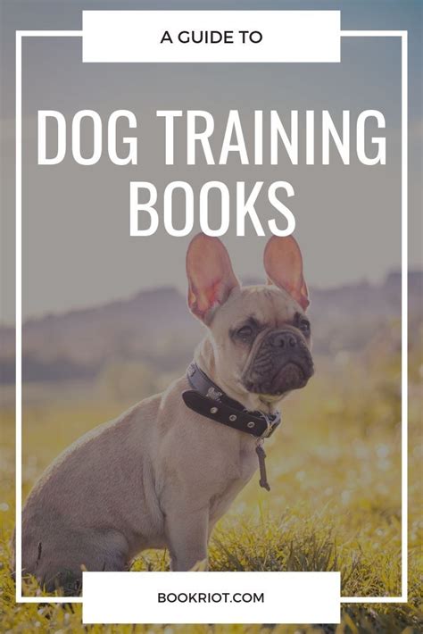 10 Helpful Dog Training Books for Every Personality | Book Riot