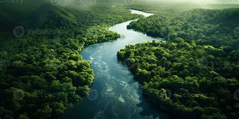 Generative AI, green beautiful amazonian jungle landscape with trees ...