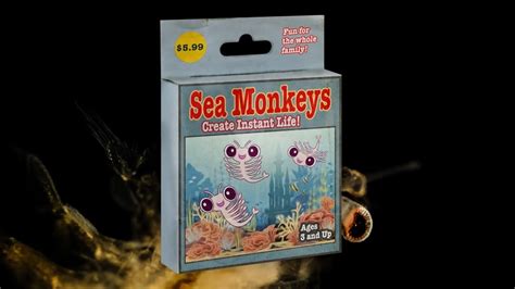 The Dark History Behind the Infamous Sea Monkeys