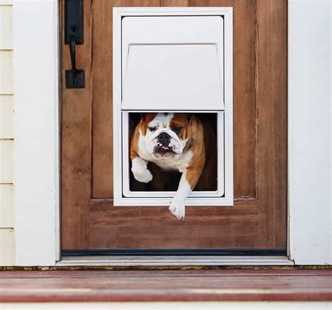 Best Electronic Dog Doors (Oct. 2018) - Buyer's Guide & Reviews