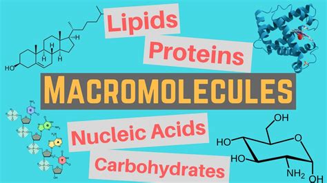 Macromolecules | Classes and Functions - YouTube