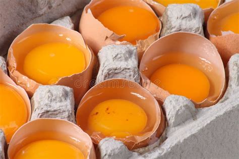 Raw eggs stock image. Image of dozen, diet, background - 12808275