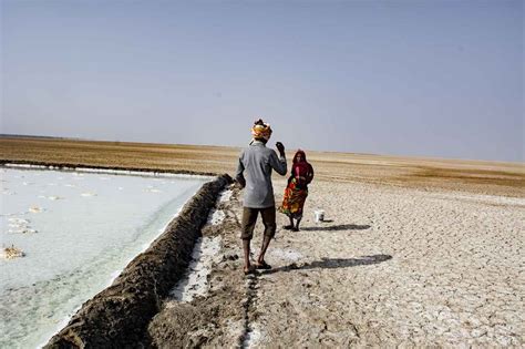 Beaches of Kutch - Tripoto