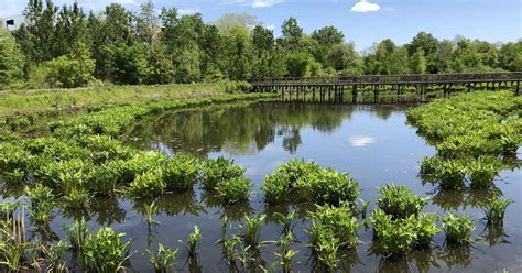 Best Camping in and near Alewife Brook Reservation