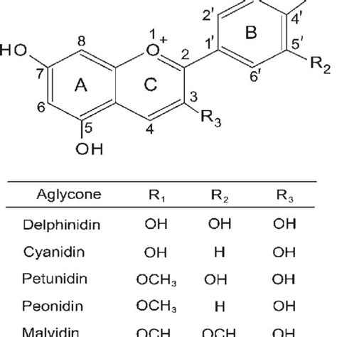 (PDF) Aspects of anthocyanin absorption, metabolism and ...