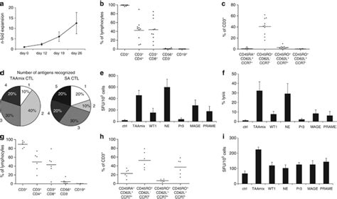 Multi-antigen-specific CTL lines are reproducibly expanded from adult ...