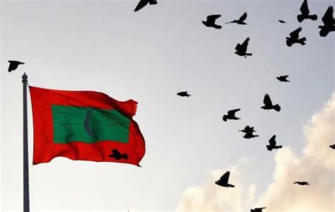 Maldives: Dissolution of the Maldivian Democracy Network is violation ...