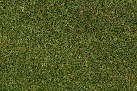 Free photo: Grass texture - Grass, Green, Lawn - Free Download - Jooinn