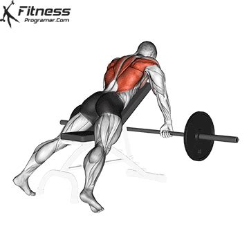 Incline Barbell Row » Workout Planner