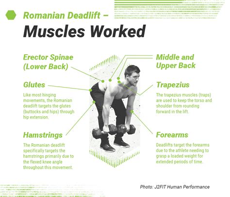 Muscles Involved In A Deadlift