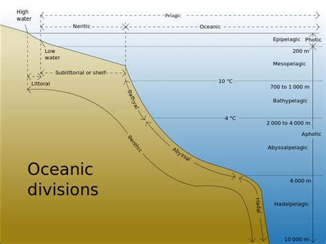 15.11: Zones of Marine Environments - Geosciences LibreTexts