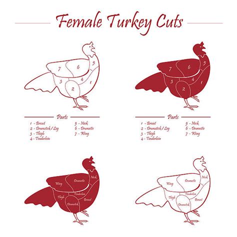 630+ Turkey Giblets Stock Photos, Pictures & Royalty-Free Images - iStock