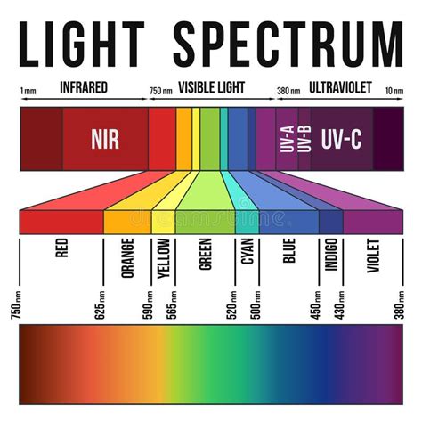 Light Spectrum. Range of the visible light and colors in the light ...