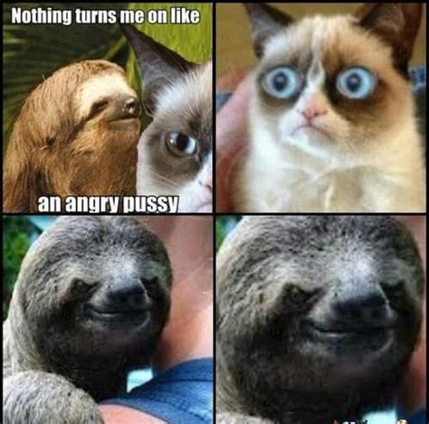 50 Top Sloth Meme Images and Funny Jokes | QuotesBae