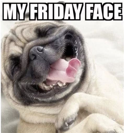 Memes About Friday - Over 50 Funny Friday Memes To LOL At