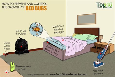 How to Prevent and Control a Bed Bug Infestation | Top 10 Home Remedies