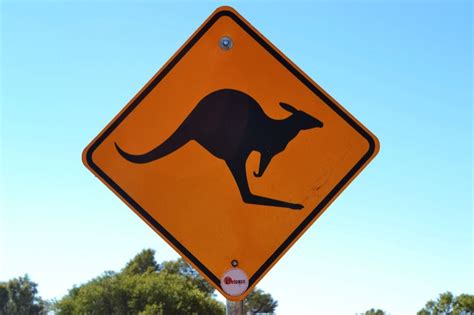 Wildlife warning: the wonderful world of Australian road signs | Green ...