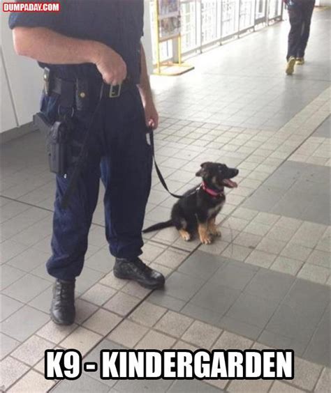 Police Dog Funny Quotes. QuotesGram